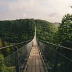 brown-wooden-bridge-over-green-trees-3801347_k